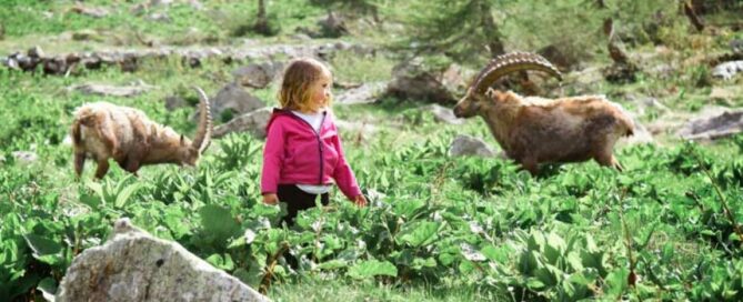 Un papa et sa fille de 18 mois au Pays des Loups