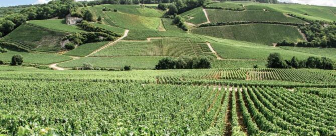 Week-end en Champagne : une idée (pétillante) !