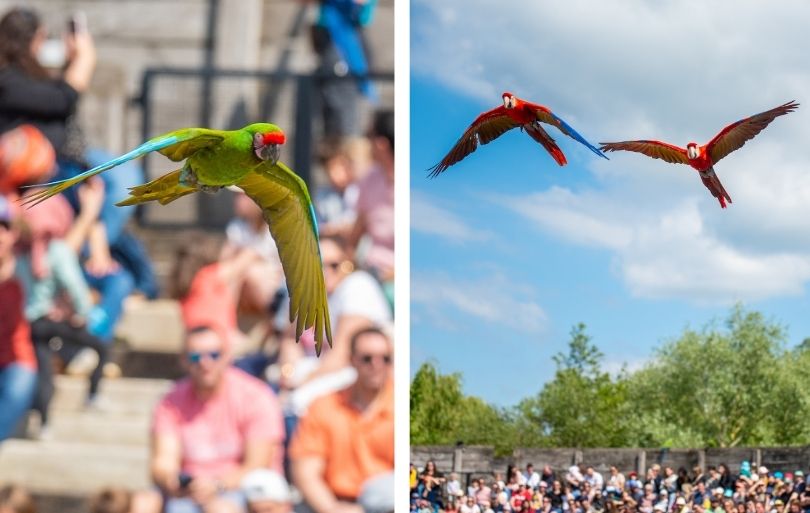 La Dombes : week-end proche de Lyon