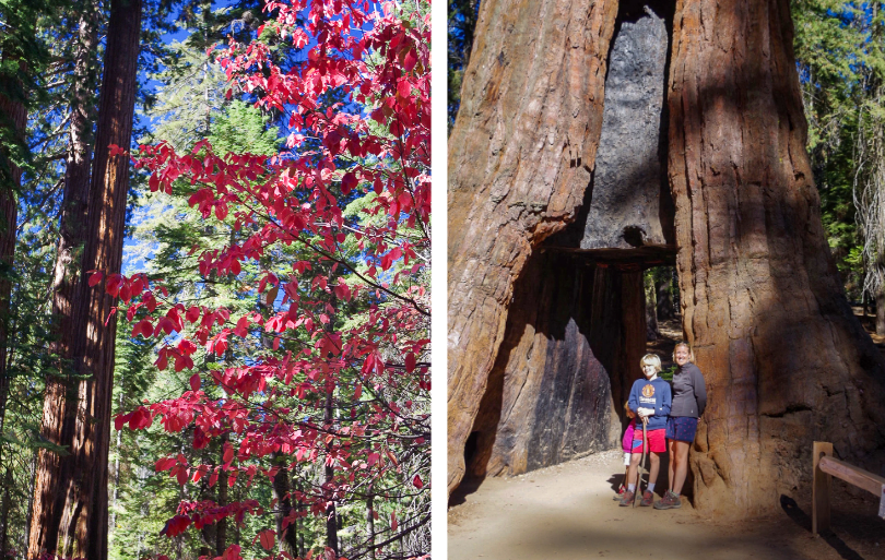 Parc Yosemite