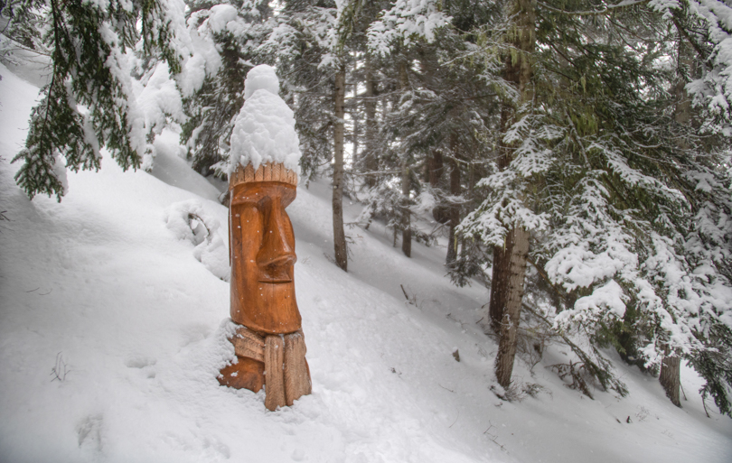 Vacances hiver