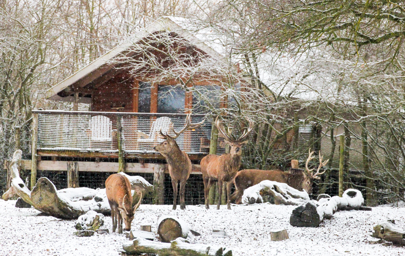 Où passer Noël en France ?