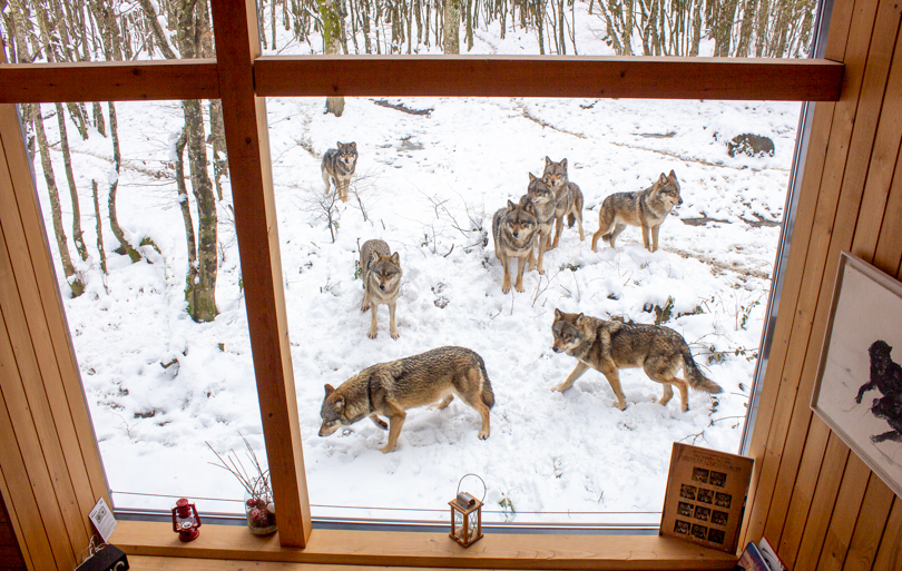 Où passer Noël en France ?