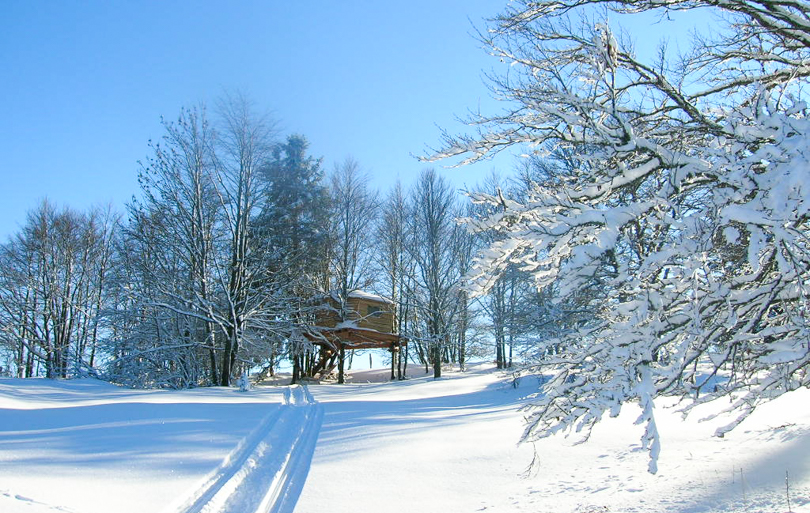 Où passer Noël en France ?