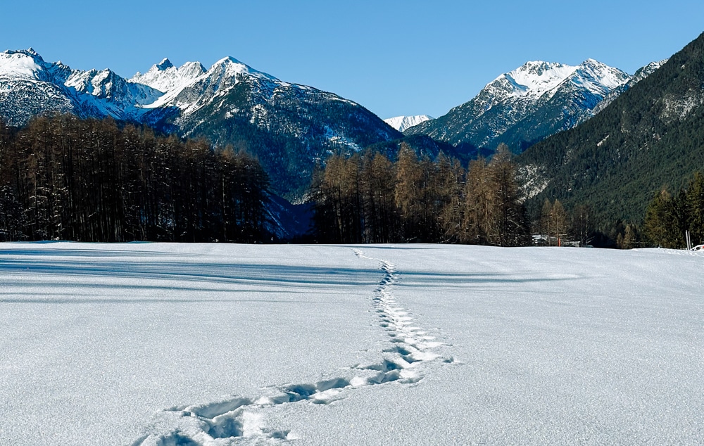 Hotel Autriche Tyrol